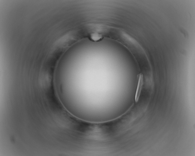 X0000114510558200910191135