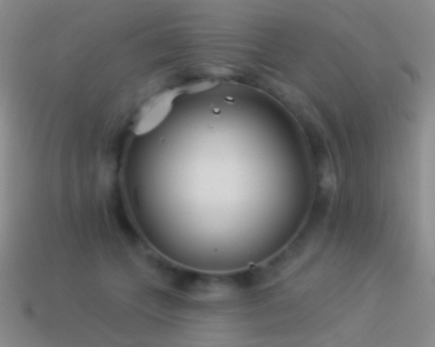 X0000114510559200910191135