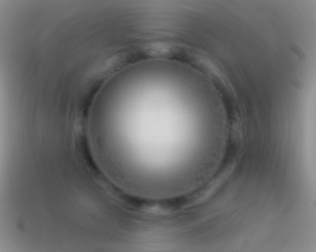 X0000114510561200910191135