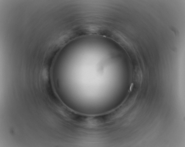 X0000114510562200910191135