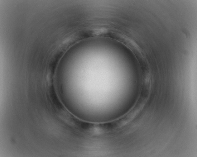 X0000114510565200910191135