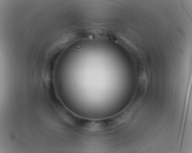 X0000114510566200910191135