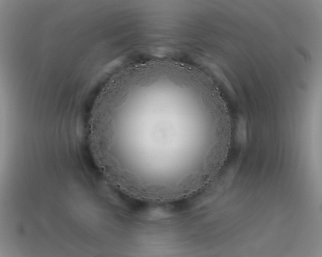 X0000114510569200910191135