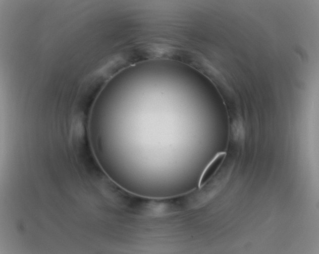 X0000114510570200910191135