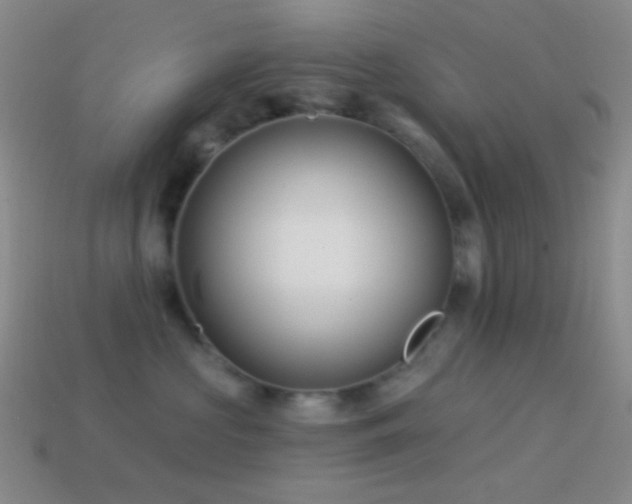 X0000114510573200910191135