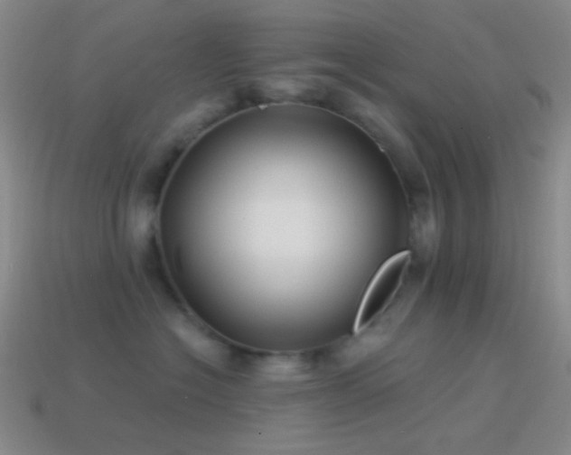 X0000114510574200910191135