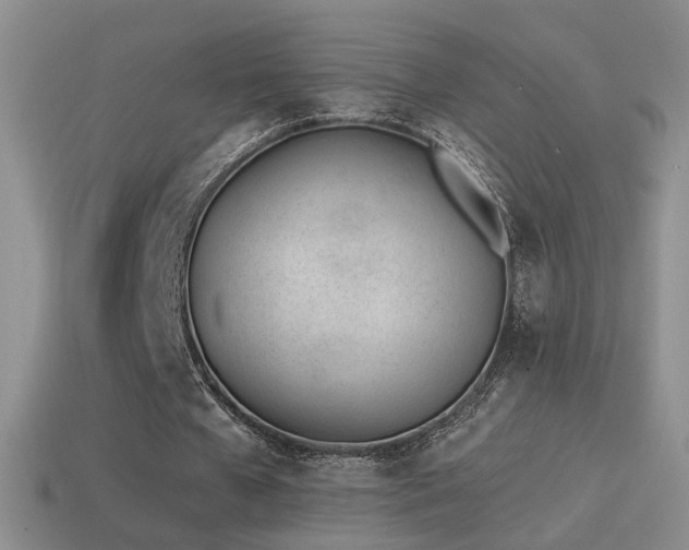 X0000114510577200910191135