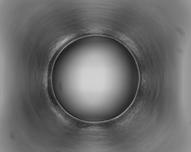 X0000114510578200910191135