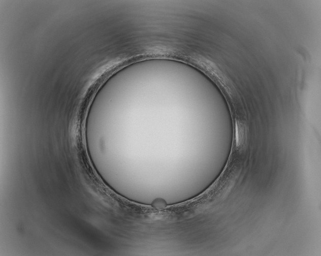 X0000114510579200910191135