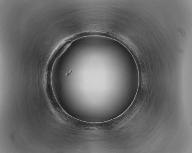 X0000114510580200910191135