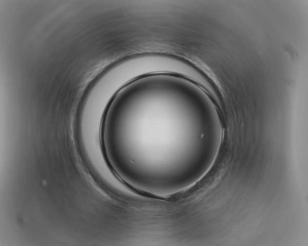 X0000114510581200910191135