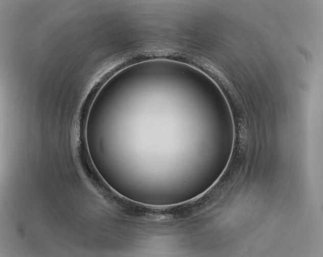 X0000114510582200910191135