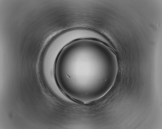 X0000114510583200910191135