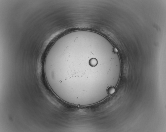 X0000114510584200910191135