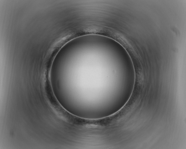 X0000114510586200910191135