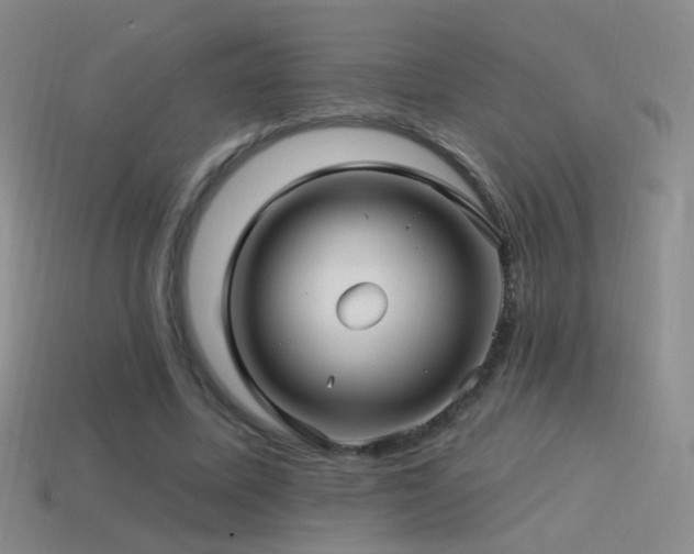 X0000114510587200910191135