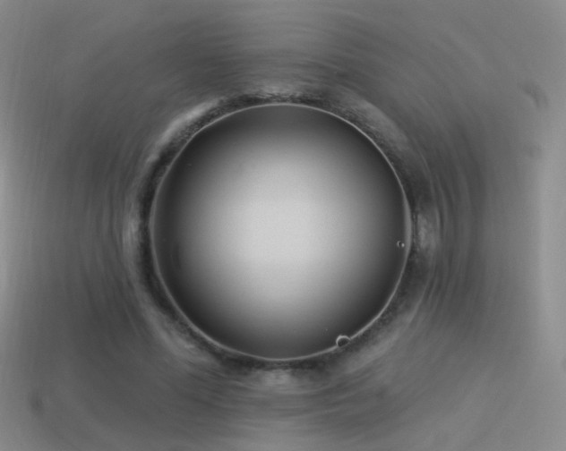 X0000114510588200910191135