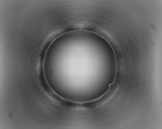 X0000114510590200910191134