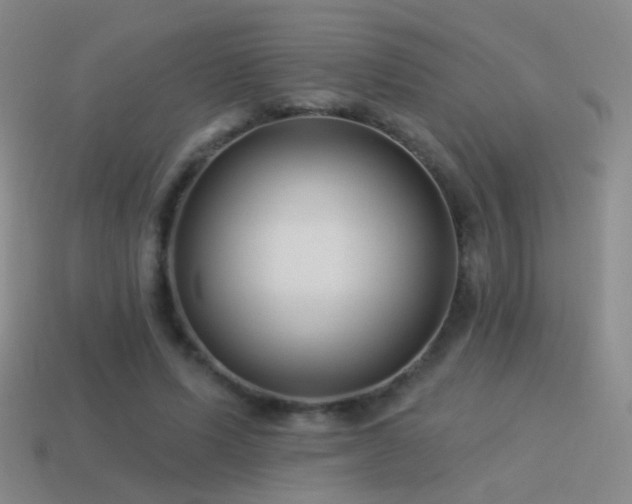 X0000114510591200910191134