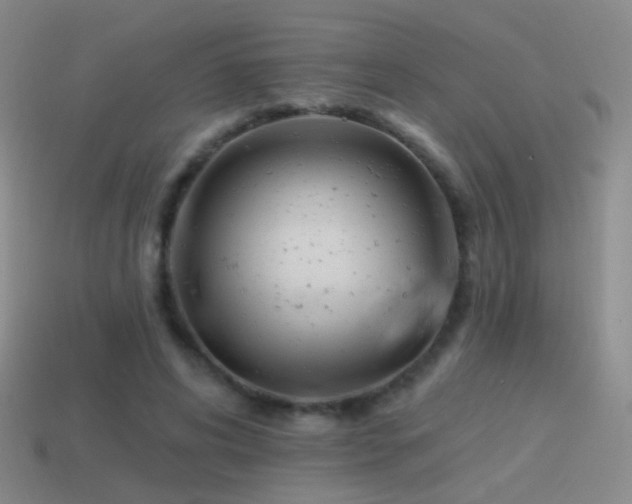 X0000114510592200910191134