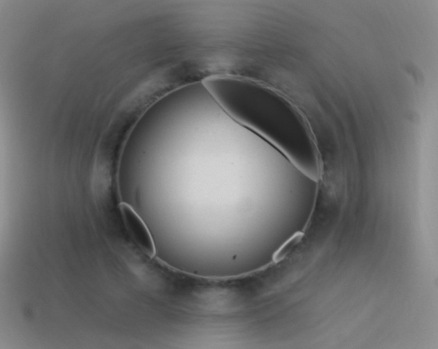 X0000114510593200910191134