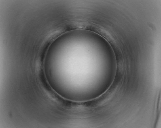 X0000114510594200910191134