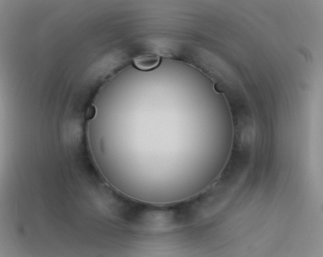 X0000114510595200910191134