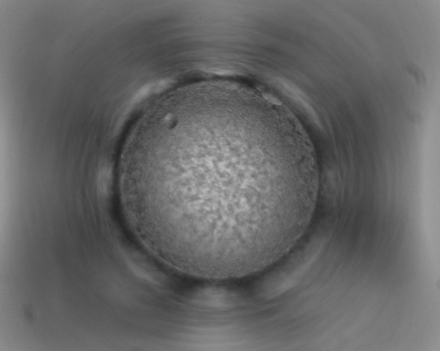 X0000114510596200910191134