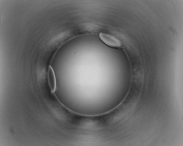 X0000114510597200910191134