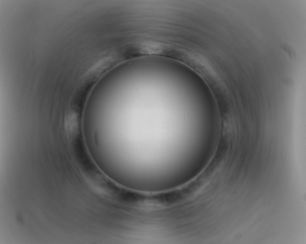 X0000114510598200910191134