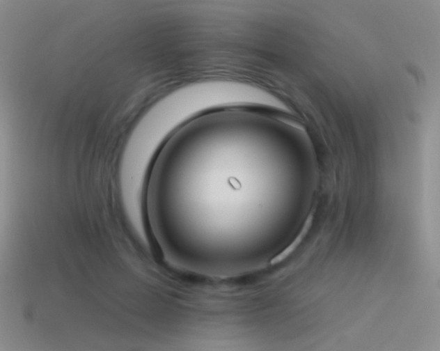 X0000114510599200910191134