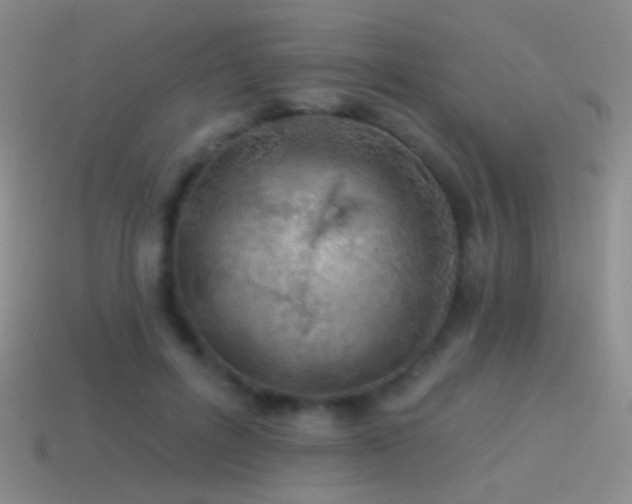 X0000114510600200910191134