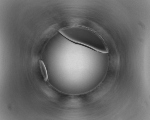 X0000114510601200910191134