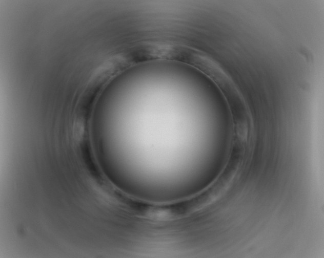 X0000114510602200910191134