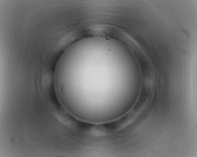 X0000114510603200910191134