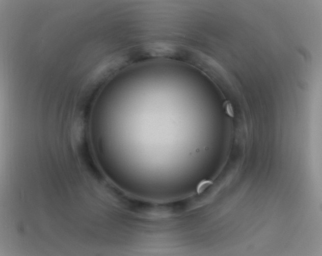 X0000114510604200910191134