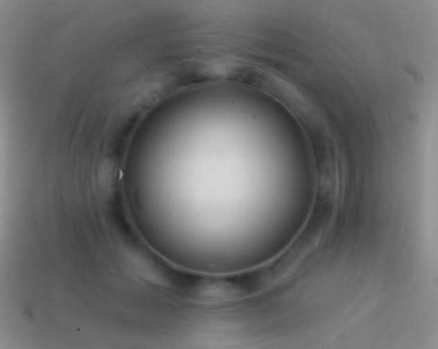 X0000114510605200910191134