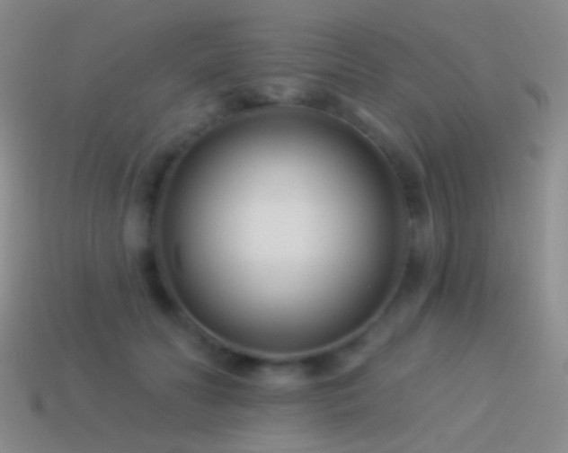 X0000114510606200910191134