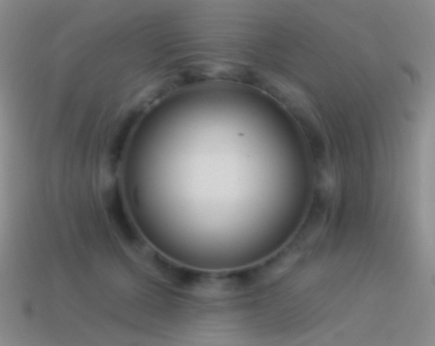 X0000114510607200910191134