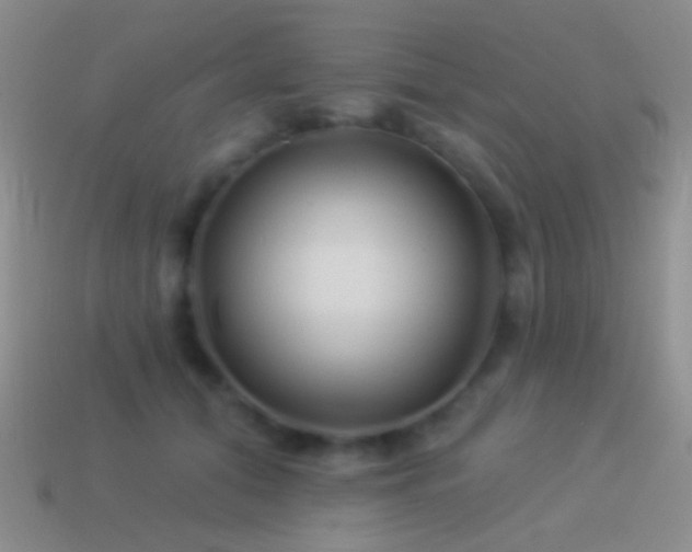 X0000114510608200910191134