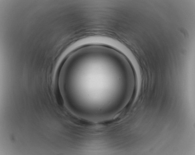 X0000114510609200910191134