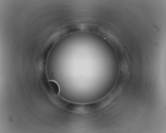 X0000114510611200910191134