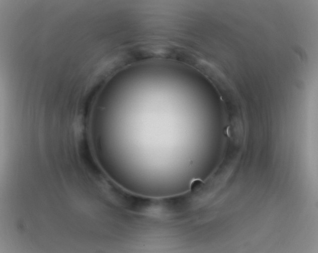 X0000114510612200910191134