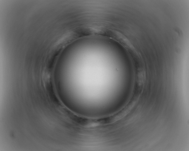 X0000114510613200910191134