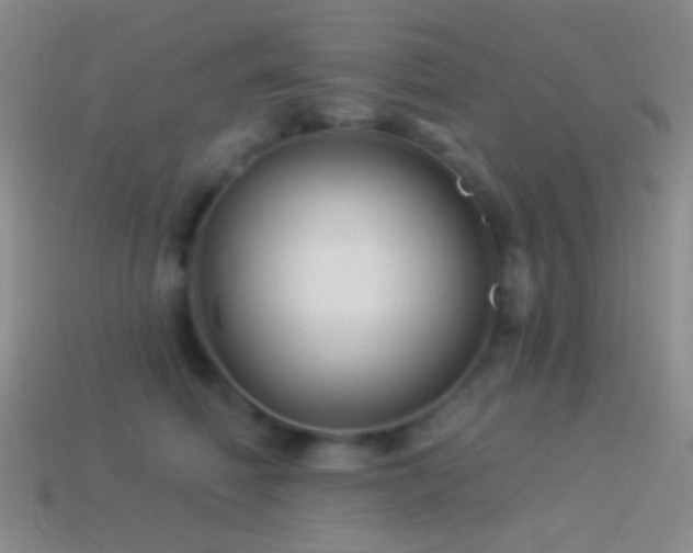 X0000114510614200910191134