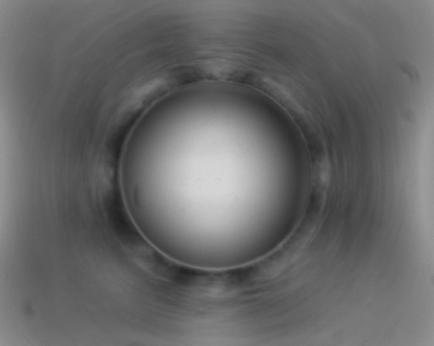 X0000114510615200910191134