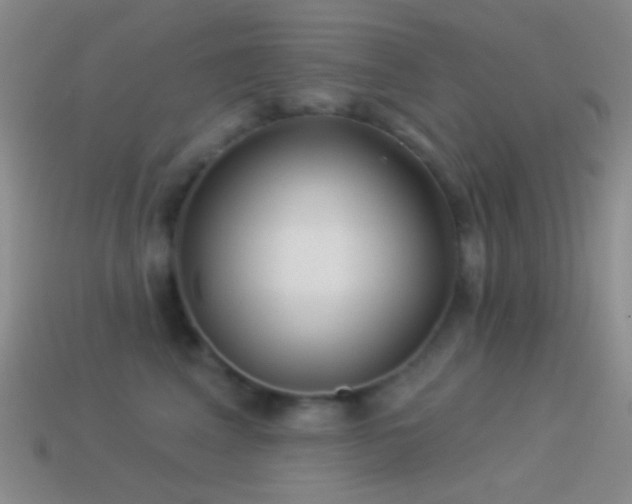 X0000114510617200910191134