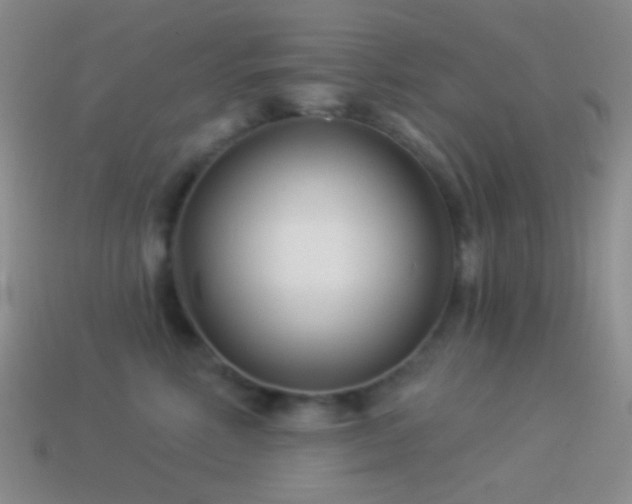 X0000114510618200910191134