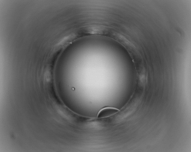 X0000114510620200910191134