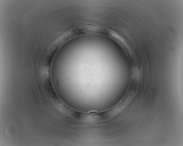 X0000114510621200910191134